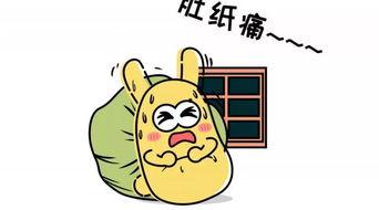 正确吃瓜群众宿舍,吃瓜群众的欢乐时光