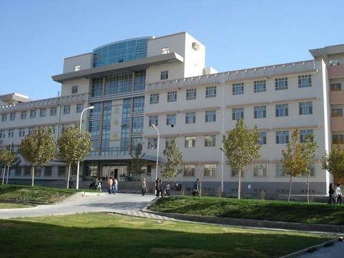 喀什大学吃瓜,瓜果飘香，学子欢聚
