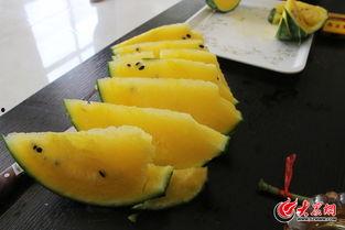 济阳吃瓜,揭秘当地特色美食背后的故事