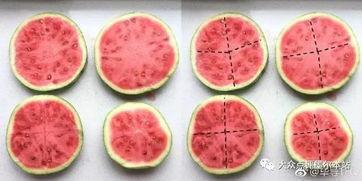 模型吃瓜,揭秘网络模型的“吃瓜”奥秘