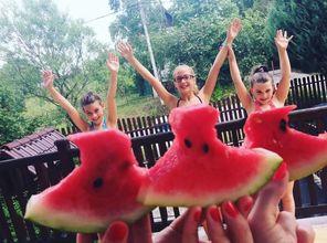 吃瓜群众金达莱,吃瓜群众的视角，揭秘娱乐圈风云