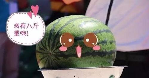 吃瓜票是什么,网络热议现象背后的文化现象解析