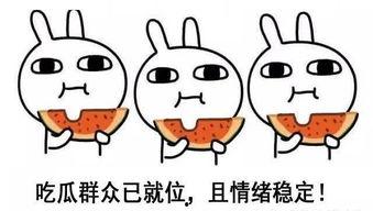 带你吃瓜人类,带你领略“吃瓜群众”的独特魅力