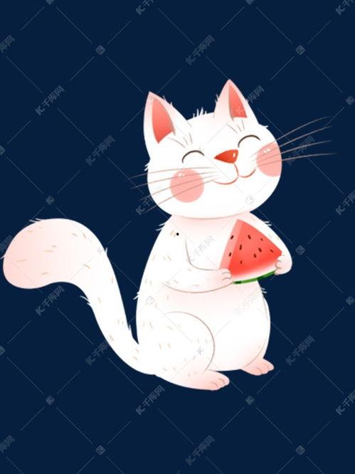 吃瓜猫咪素材视频,萌态十足，网友直呼“治愈系”