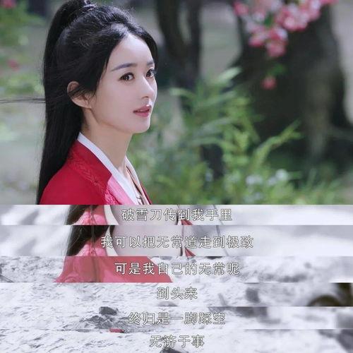 吃瓜追剧网名,揭秘娱乐圈幕后风云