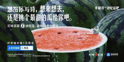 吃瓜宣传文案短句,吃瓜宣传文案短句大盘点