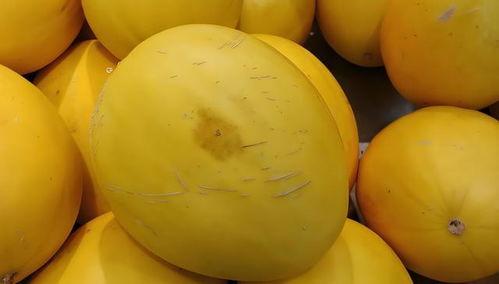 黄色瓜可以吃吗