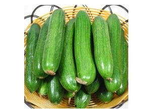 瓜哥吃瓜奇葩商品视频下载,揭秘那些令人捧腹的奇葩商品