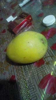 什么瓜不能切开吃,为何某些“瓜”不宜切开食用