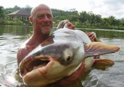 刘大瓜吃鲶鱼,舌尖上的奇遇记