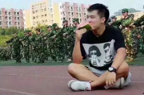 吃瓜群众混剪,趣味横生的娱乐盛宴