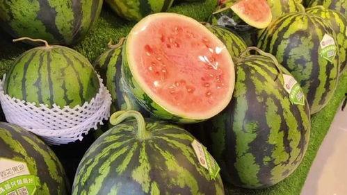 天天只吃瓜的人,揭秘“天天吃瓜”的奇妙人生