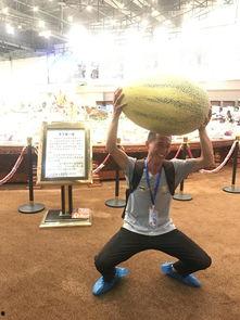 奔跑的吃瓜观众,吃瓜观众的热闹围观