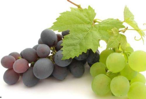 马奶提葡萄吃瓜,马奶提葡萄与夏日吃瓜的完美邂逅