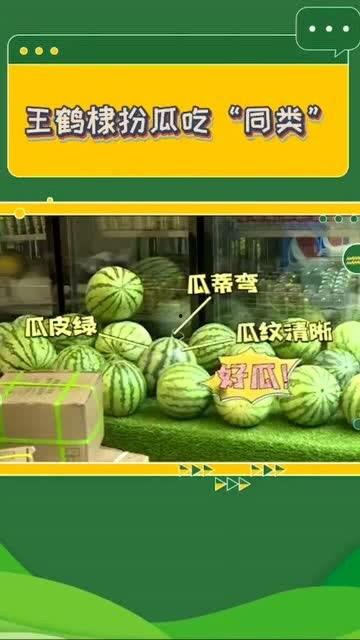 扮瓜吃瓜,揭秘网络热词背后的趣味与智慧