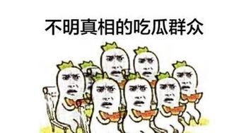 吃瓜群众吃瓜子图片大全,吃瓜群众吃瓜子图片大盘点