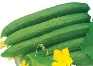 夏天吃三瓜是什么瓜呀,夏日消暑三瓜养生攻略