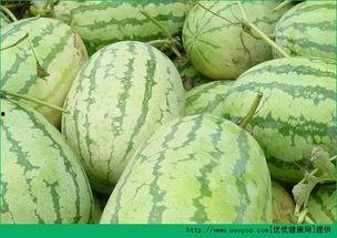 吃瓜长肉的好处