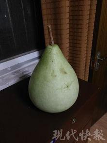 盐城幼儿吃瓜,共享夏日清凉时光