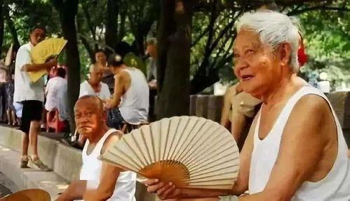 白背心吃瓜,揭秘网络热梗背后的故事