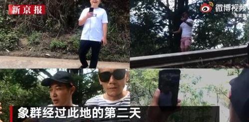 云南主播直播吃瓜,带你领略地道云南风情