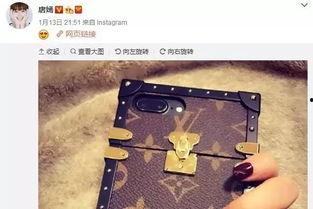 吃瓜群众的手机壳,揭秘吃瓜群众的趣味生活